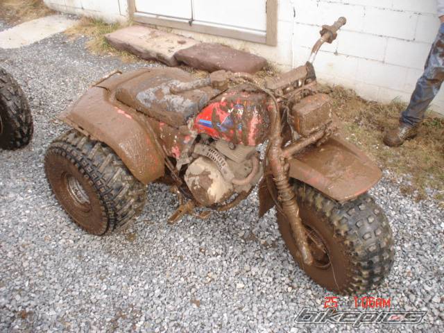 1985 HONDA BIG RED | Picture 508739 motorcycle photo