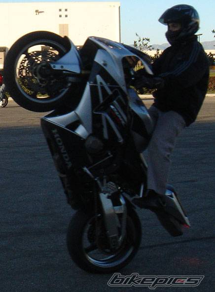 2003 YAMAHA YZF R6 | Picture 508792 motorcycle photo
