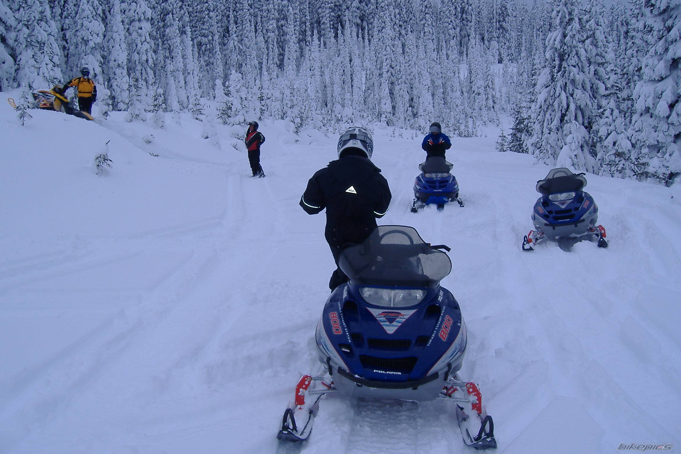 2003 POLARIS RMK 800 | Picture 508889 motorcycle photo