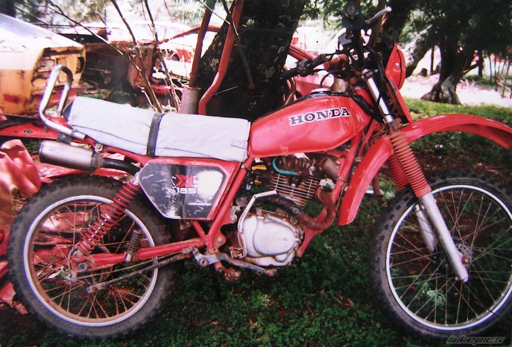 1981 HONDA XL 125 | Picture 509017 motorcycle photo