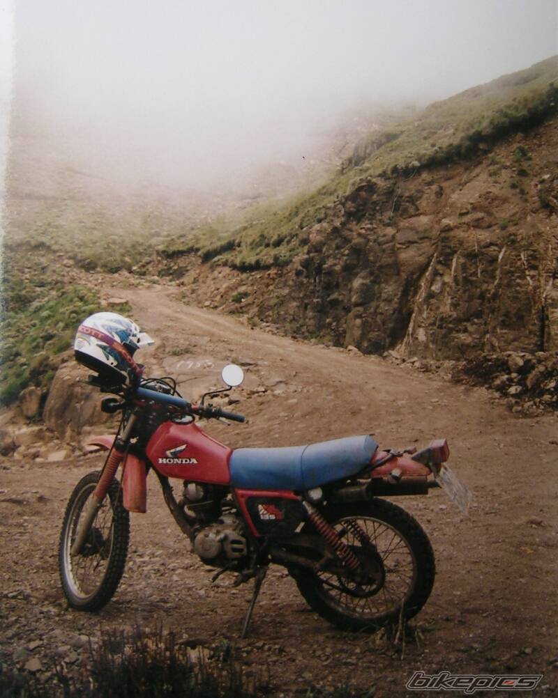 1981 HONDA XL 125 | Picture 509043 motorcycle photo