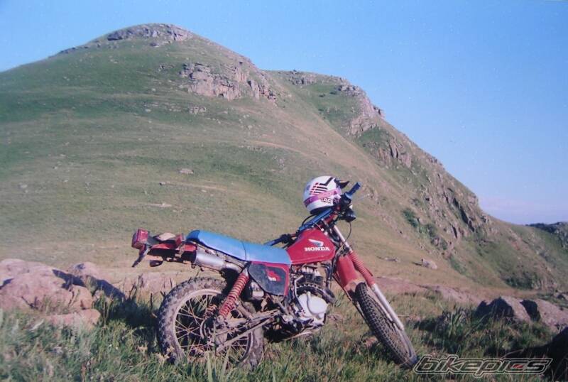 1981 HONDA XL 125 | Picture 509058 motorcycle photo