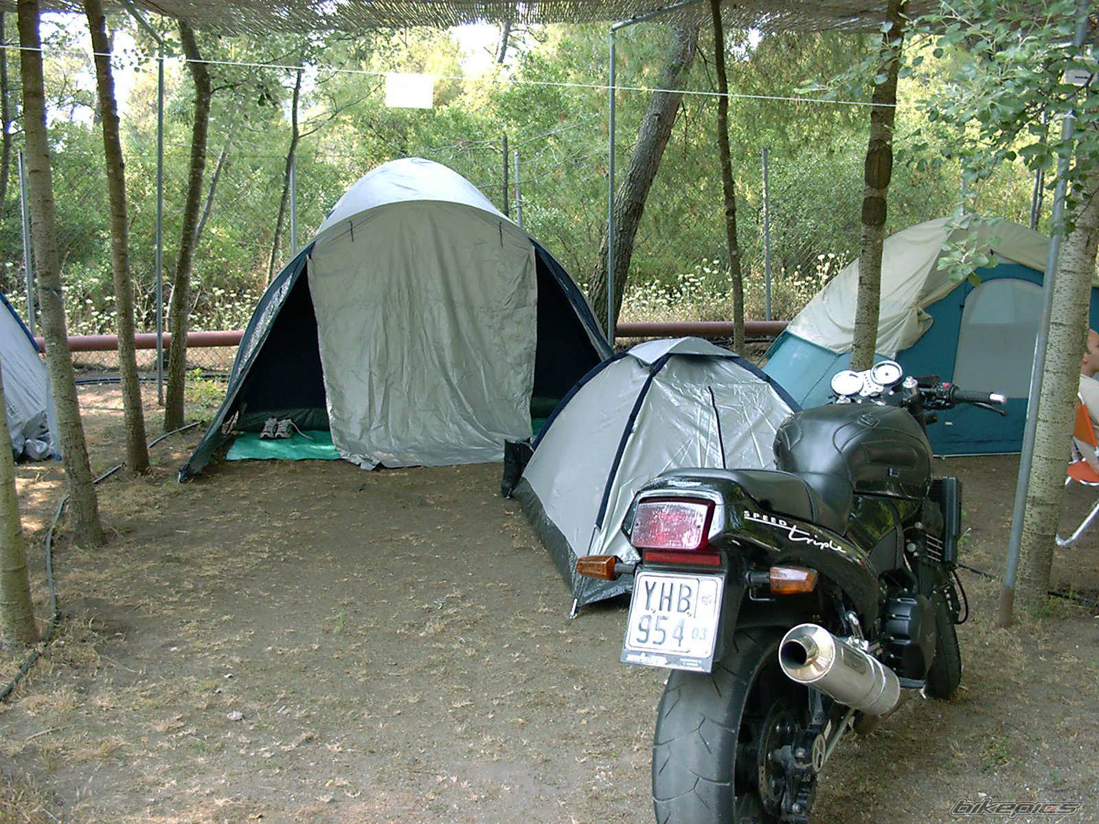 1995 TRIUMPH SPEED TRIPLE | Picture 50921 motorcycle photo