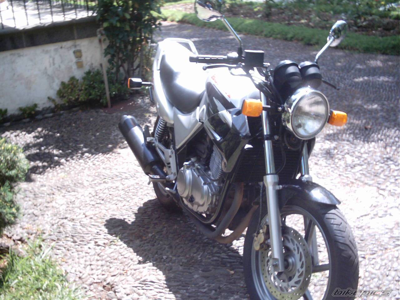 1999 HONDA CB 500 | Picture 50945 motorcycle photo