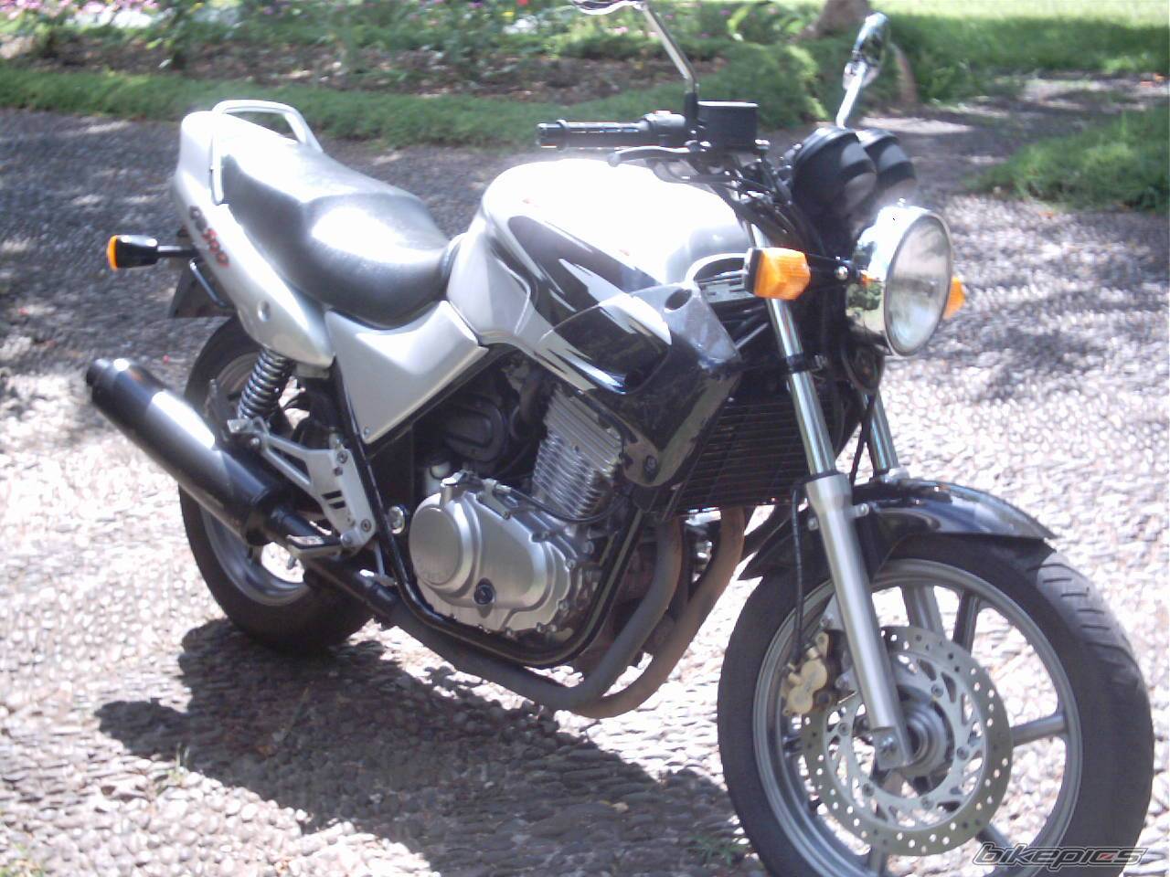 1999 HONDA CB 500 | Picture 50946 motorcycle photo