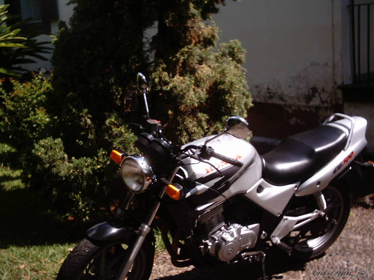 1999 HONDA CB 500 | Picture 50962 motorcycle photo