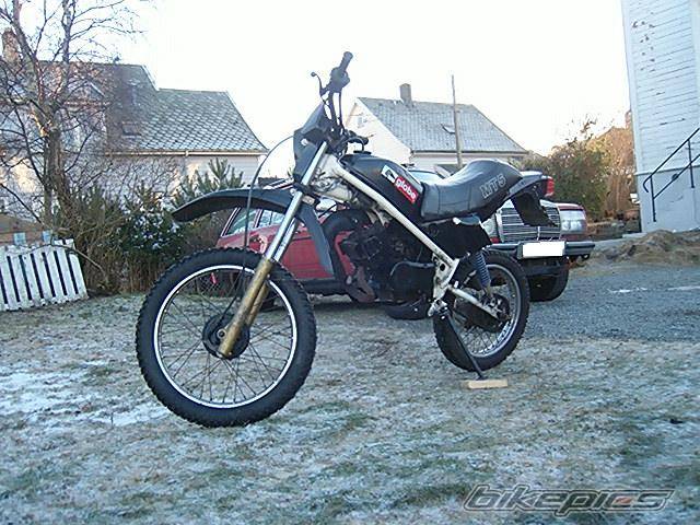 2006 HONDA MT 50 | Picture 509660 motorcycle photo