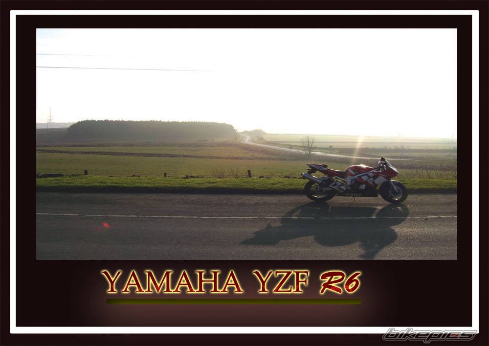 2002 YAMAHA YZF R6 | Picture 509773 motorcycle photo