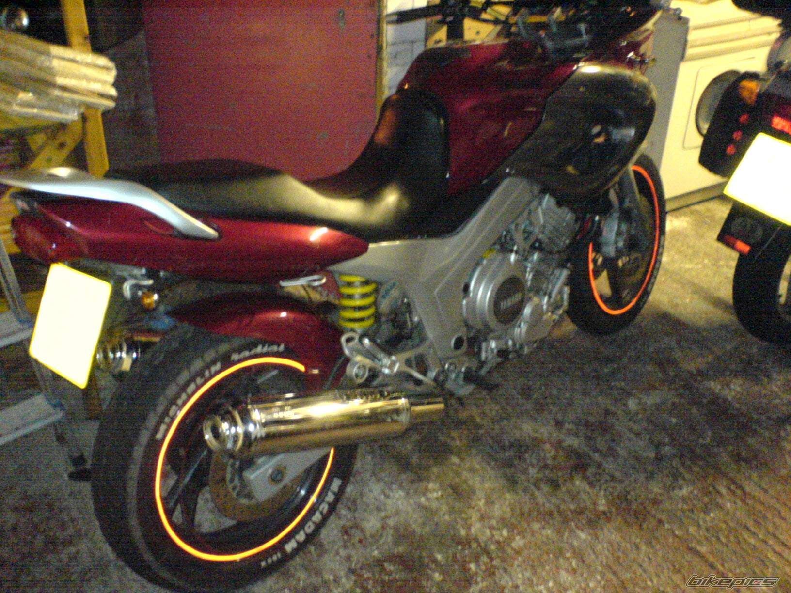 1996 YAMAHA TDM 850 | Picture 509965 motorcycle photo