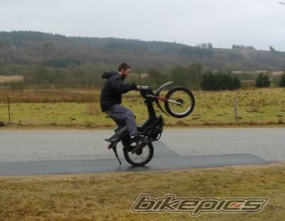 1991 YAMAHA SG 50 STING | Picture 51037 motorcycle photo