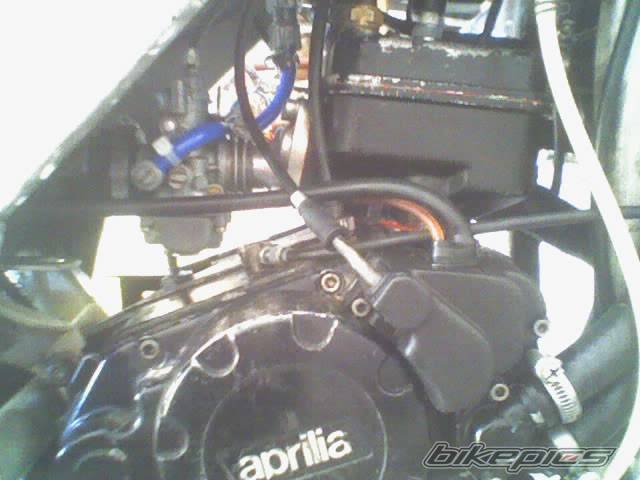 1992 APRILIA AF1 FUTURA 50 | Picture 510429 motorcycle photo