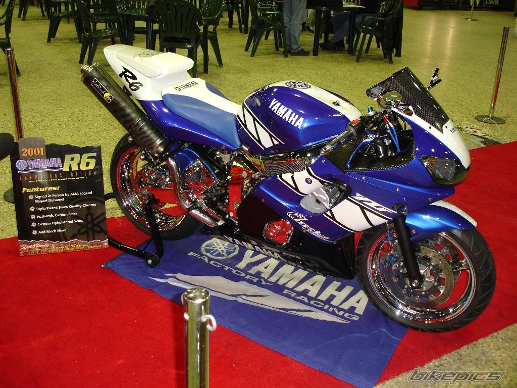 2001 YAMAHA YZF R6 | Picture 510534 motorcycle photo
