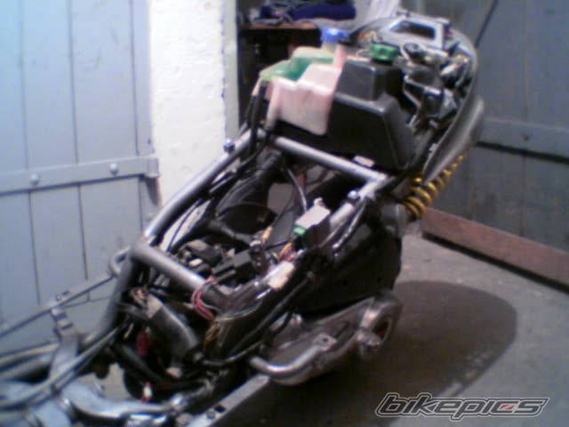 2002 DERBI PREDATOR | Picture 510625 motorcycle photo