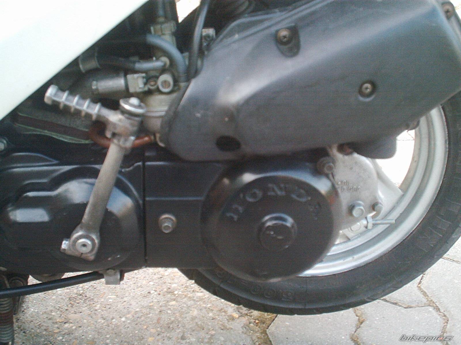 1998 HONDA DIO 50 | Picture 510702 motorcycle photo