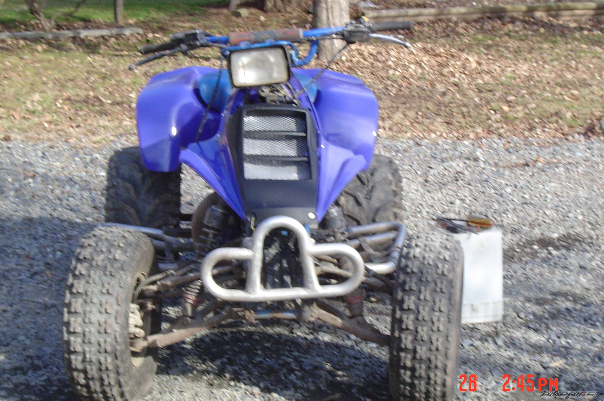 1987 SUZUKI QUADRACER 250 | Picture 510704 motorcycle photo