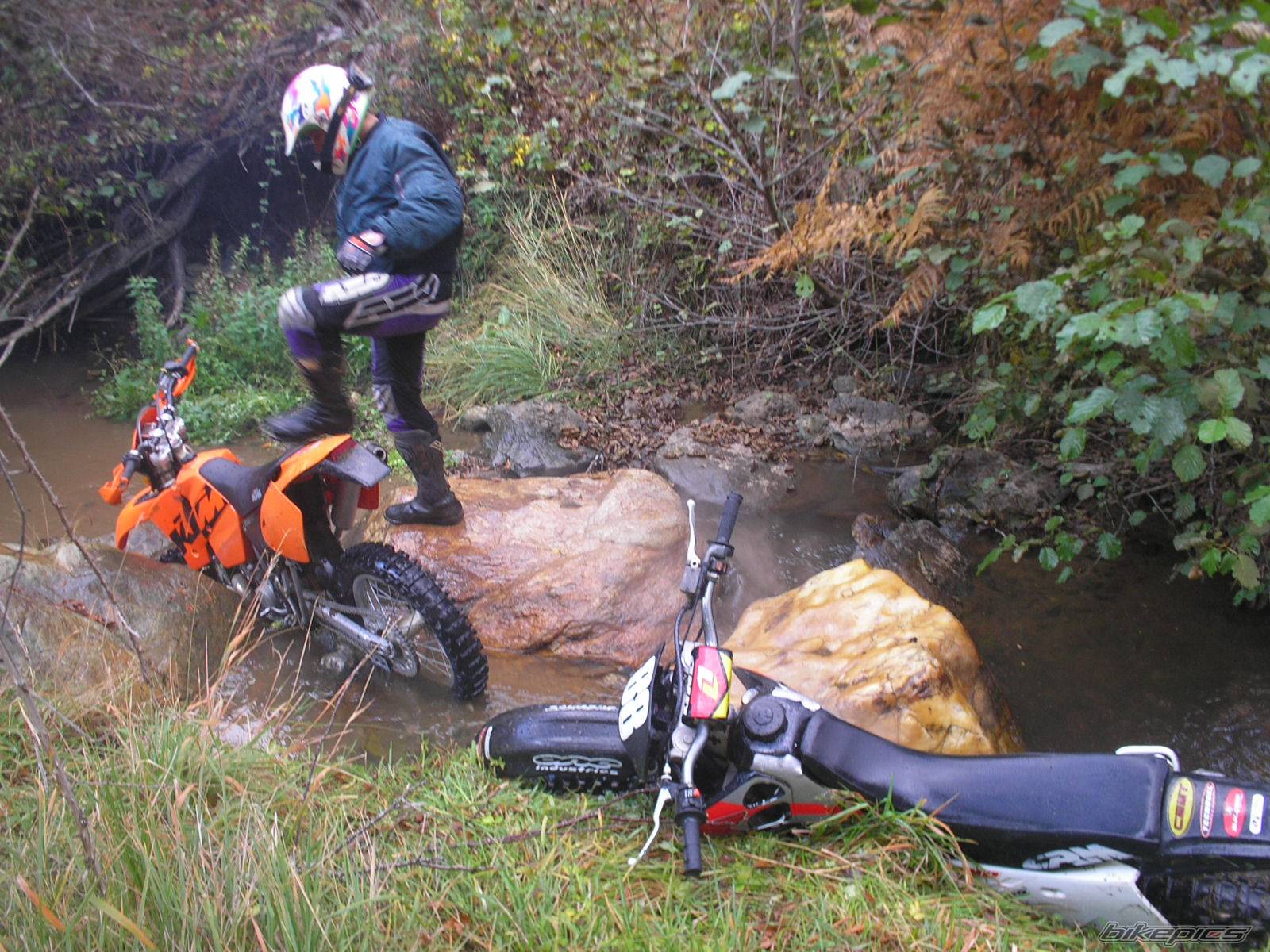 1996 HONDA CRM 250 | Picture 510860 motorcycle photo