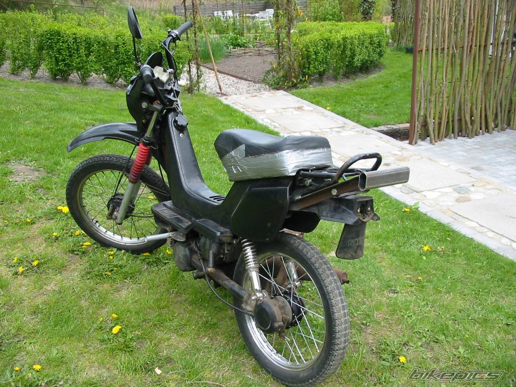 1991 YAMAHA SG 50 STING | Picture 51115 motorcycle photo