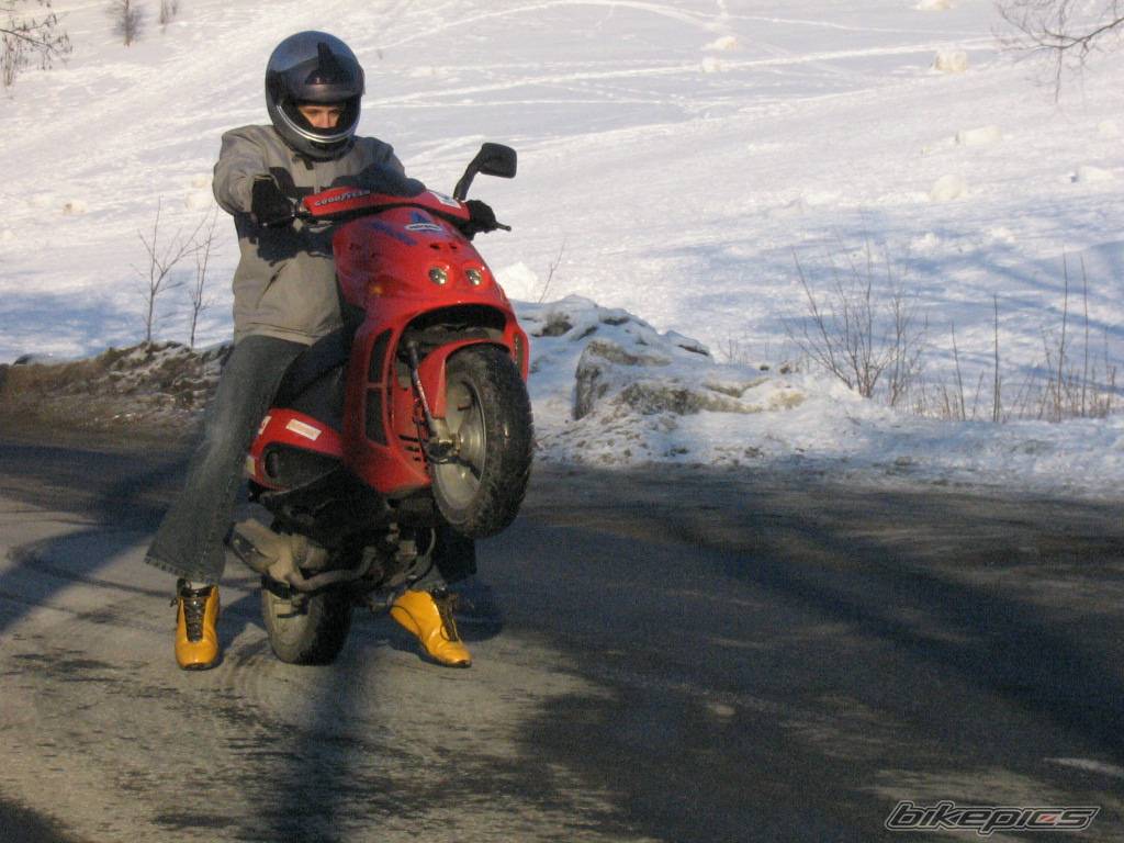 2000 MALAGUTI PHANTOM 50 F12 | Picture 511206 motorcycle photo