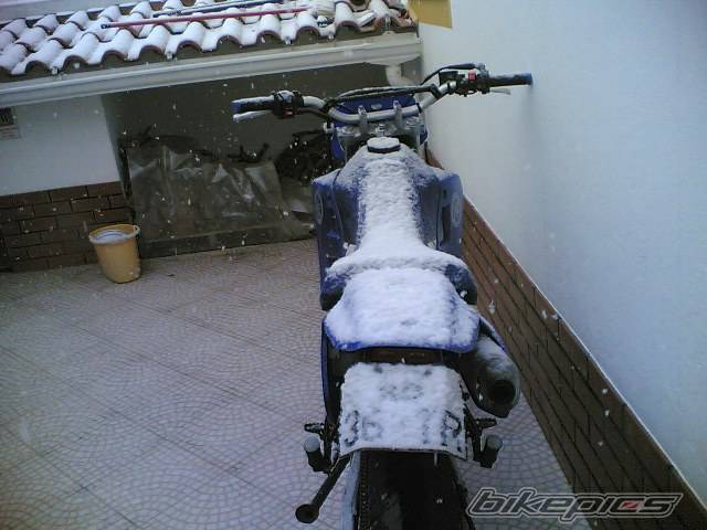 2002 YAMAHA DT 125 | Picture 511324 motorcycle photo