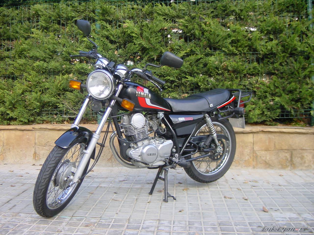1990 YAMAHA SR 250 | Picture 511342 motorcycle photo