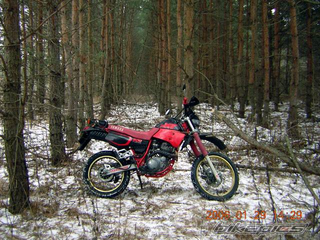1988 YAMAHA XT 600 | Picture 511575 motorcycle photo