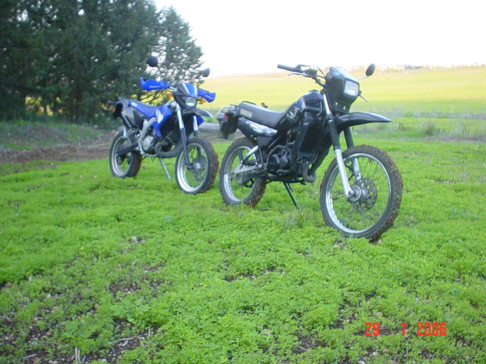 2002 SUZUKI RMX 50 | Picture 511661 motorcycle photo
