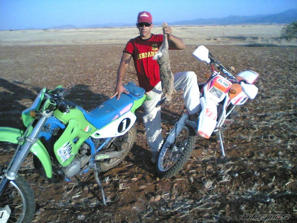 1998 SUZUKI RMX 250 | Picture 511945 motorcycle photo