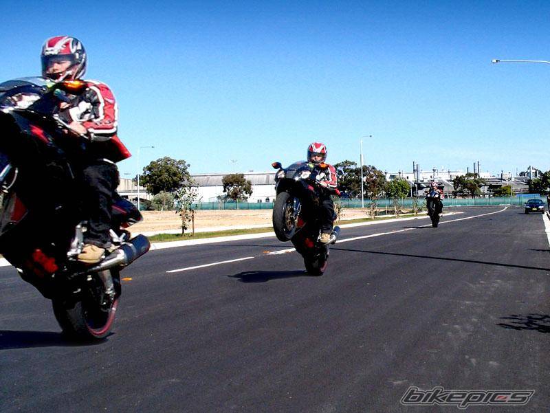2004 APRILIA RSV 1000R MILLE | Picture 512048 motorcycle photo