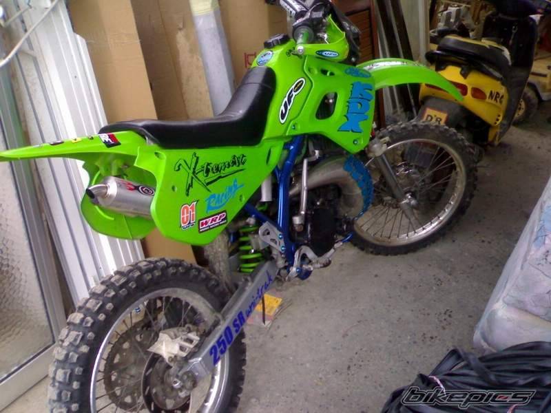 1998 KAWASAKI KDX 250 | Picture 512377 motorcycle photo