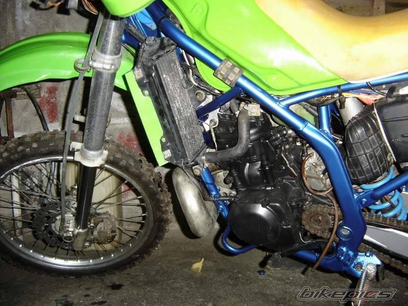 1998 KAWASAKI KDX 250 | Picture 512429 motorcycle photo