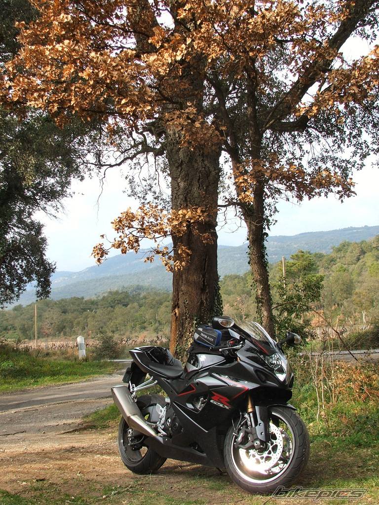 2006 SUZUKI GSX R 1000 | Picture 512523 motorcycle photo