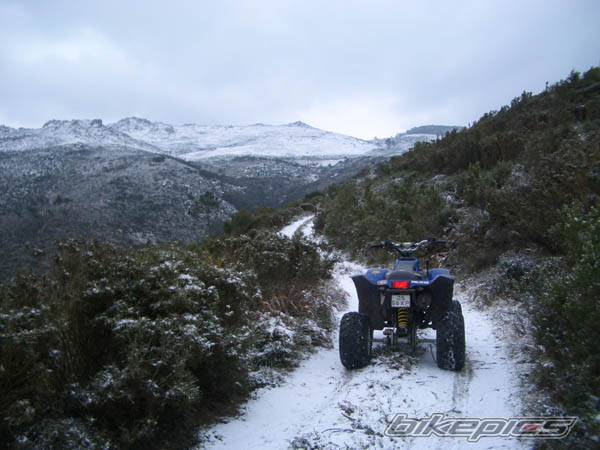 2005 POLARIS TRAIL BLAZER 250 | Picture 512749 motorcycle photo
