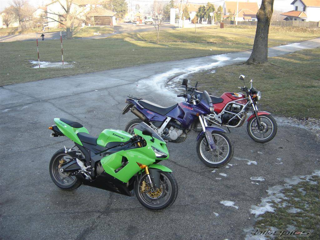 1987 HONDA CB 450 | Picture 512828 motorcycle photo