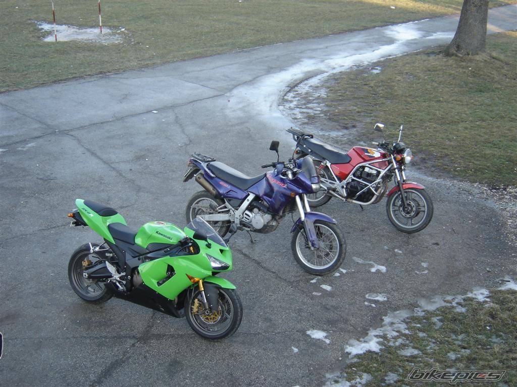 1987 HONDA CB 450 | Picture 512831 motorcycle photo