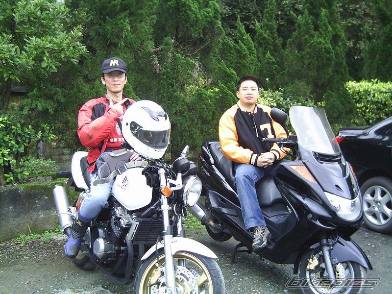 2002 HONDA CB 400 | Picture 513348 motorcycle photo