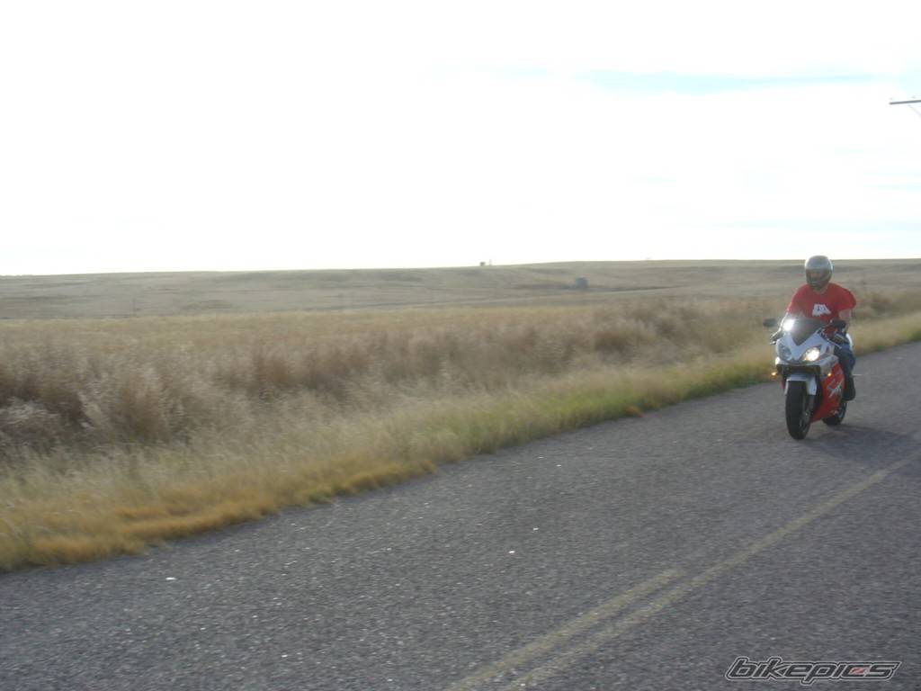 2002 HONDA CBR 600 | Picture 513826 motorcycle photo