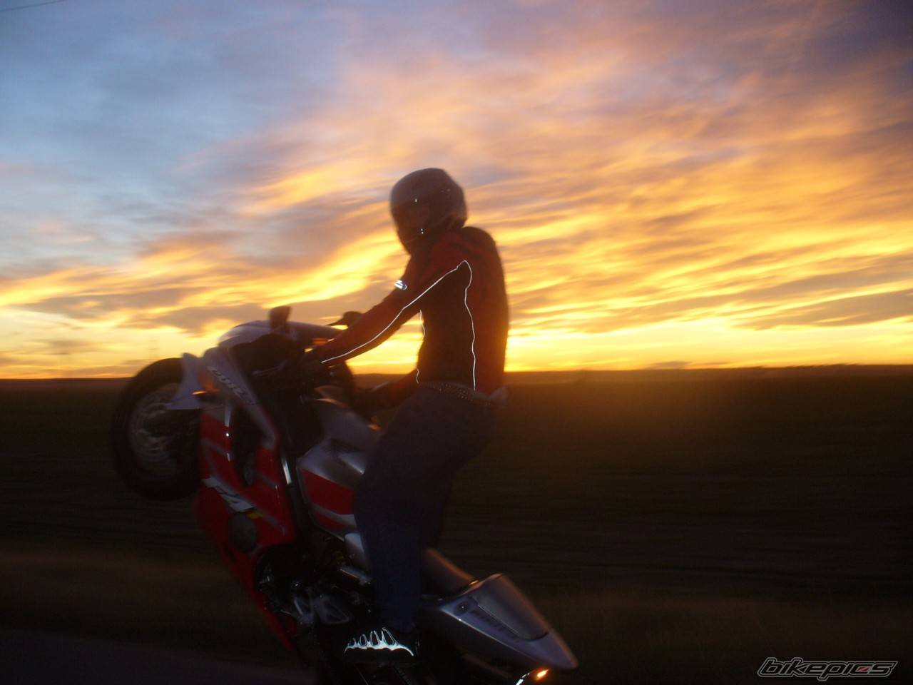 2002 HONDA CBR 600 | Picture 513830 motorcycle photo