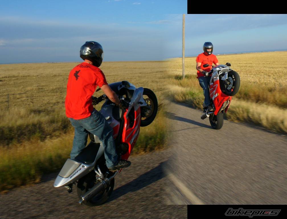 2002 HONDA CBR 600 | Picture 513834 motorcycle photo