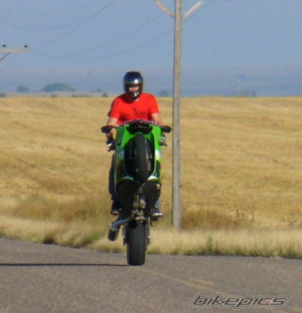 2002 HONDA CBR 600 | Picture 513837 motorcycle photo