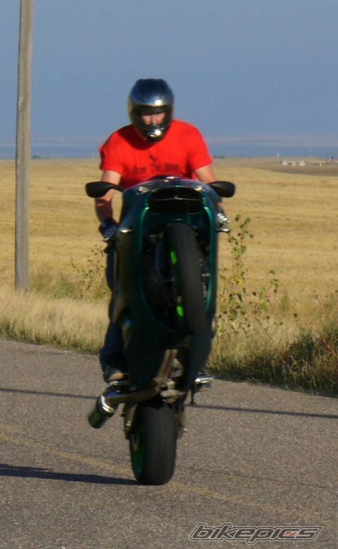 2002 HONDA CBR 600 | Picture 513838 motorcycle photo