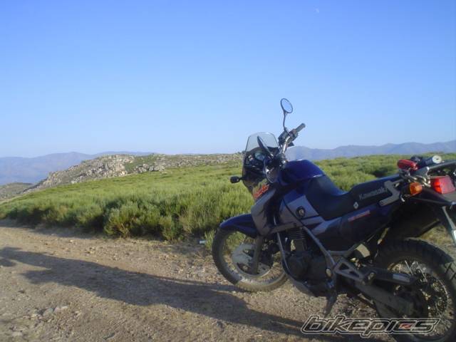 1998 KAWASAKI KLE 500 | Picture 513970 motorcycle photo