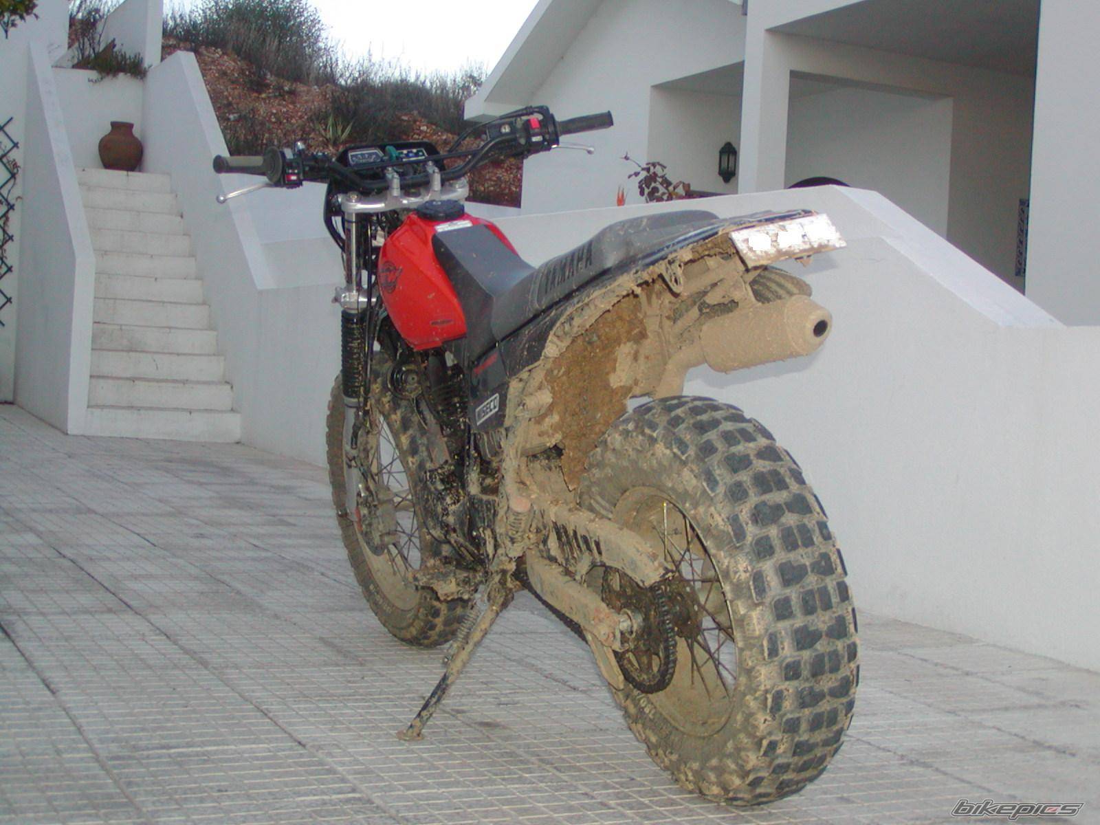 2005 YAMAHA TW 125 | Picture 514018 motorcycle photo