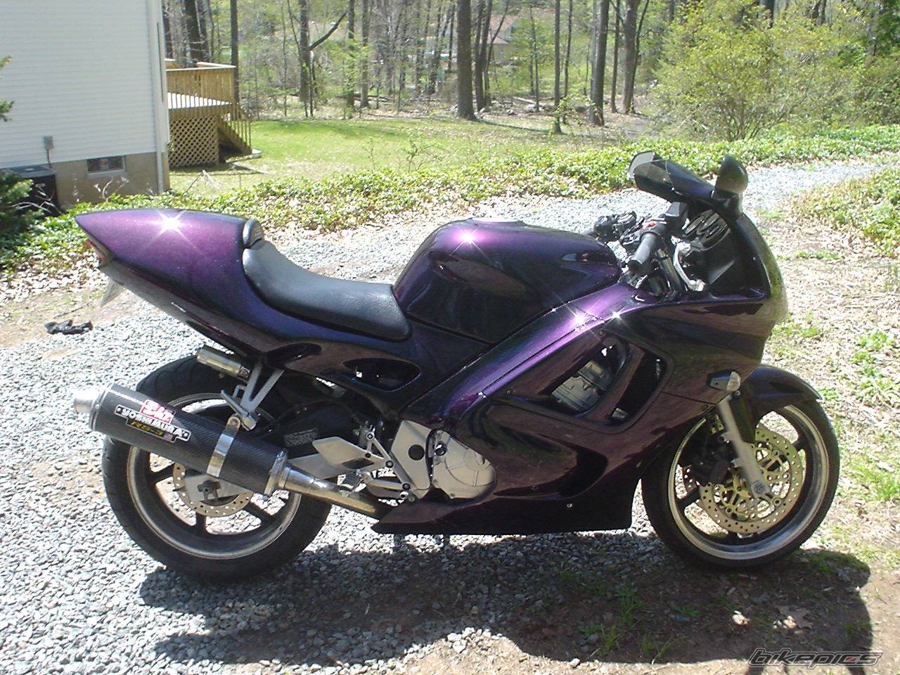1998 HONDA CBR 600 | Picture 51404 motorcycle photo