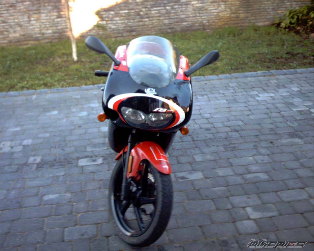 2000 APRILIA RS 50 | Picture 514318 motorcycle photo