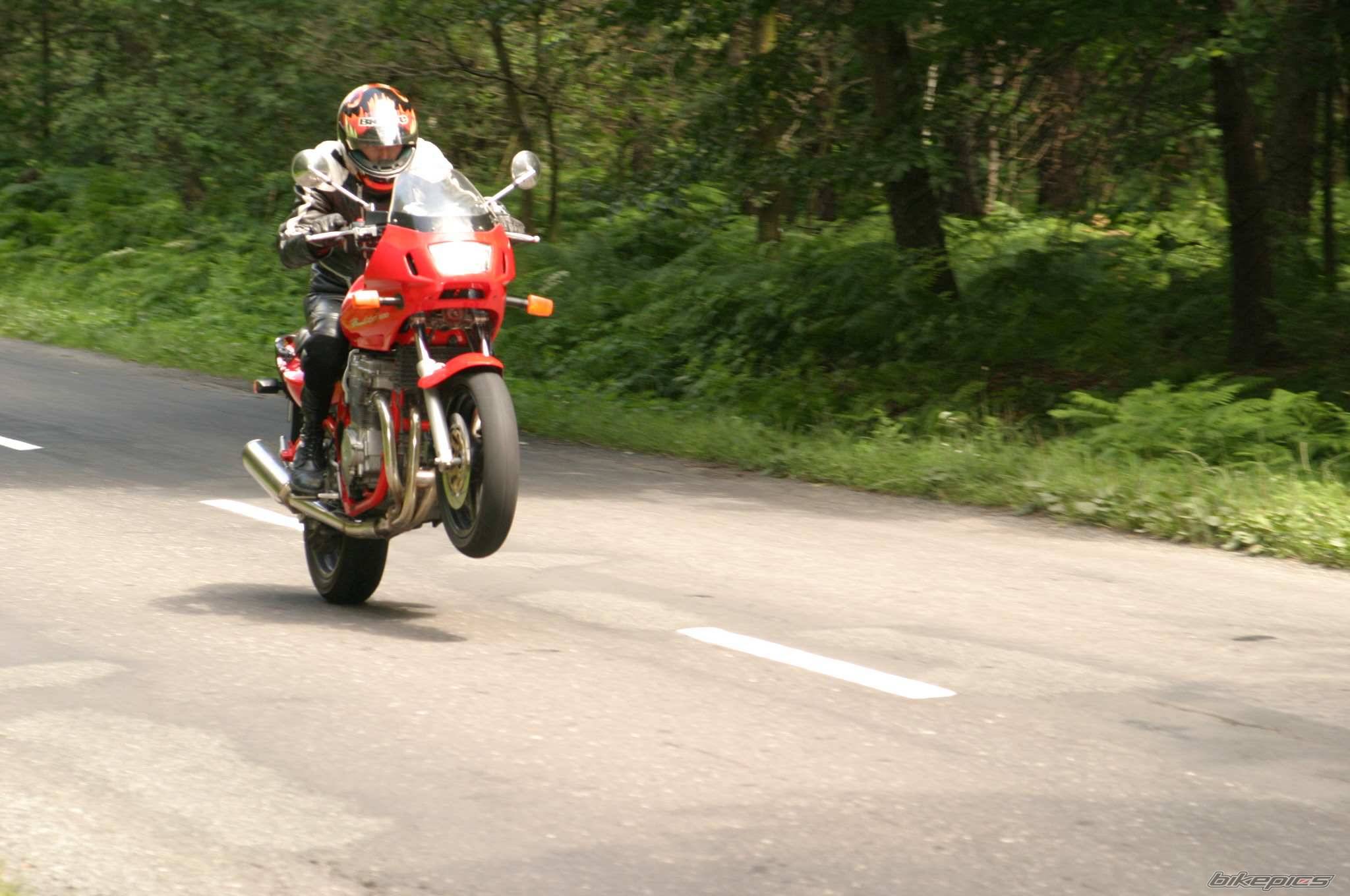 1998 SUZUKI BANDIT 600 | Picture 514909 motorcycle photo