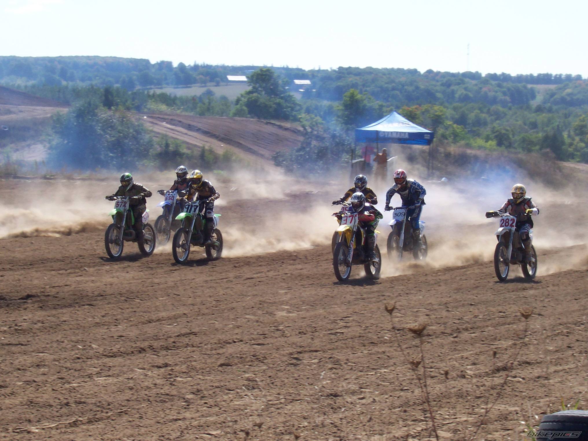 2005 SUZUKI RM 250 | Picture 515084 motorcycle photo
