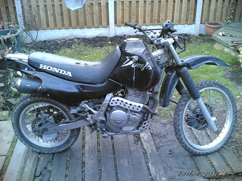 1994 HONDA NX 650 DOMINATOR | Picture 515622 motorcycle photo