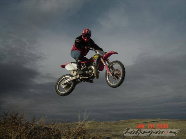 1996 HONDA CR 250 | Picture 515968 motorcycle photo