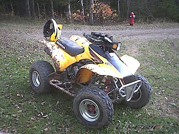 2002 HONDA 300EX | Picture 516184 motorcycle photo