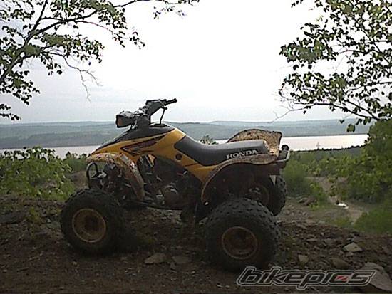 2002 HONDA 300EX | Picture 516187 motorcycle photo